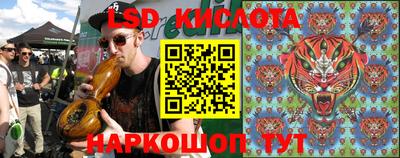 прущие грибы Славгород