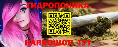 прущие грибы Славгород