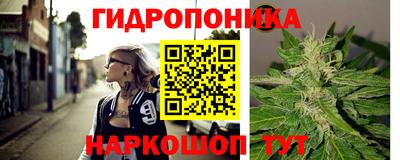 прущие грибы Славгород
