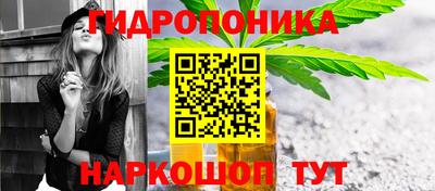 прущие грибы Славгород