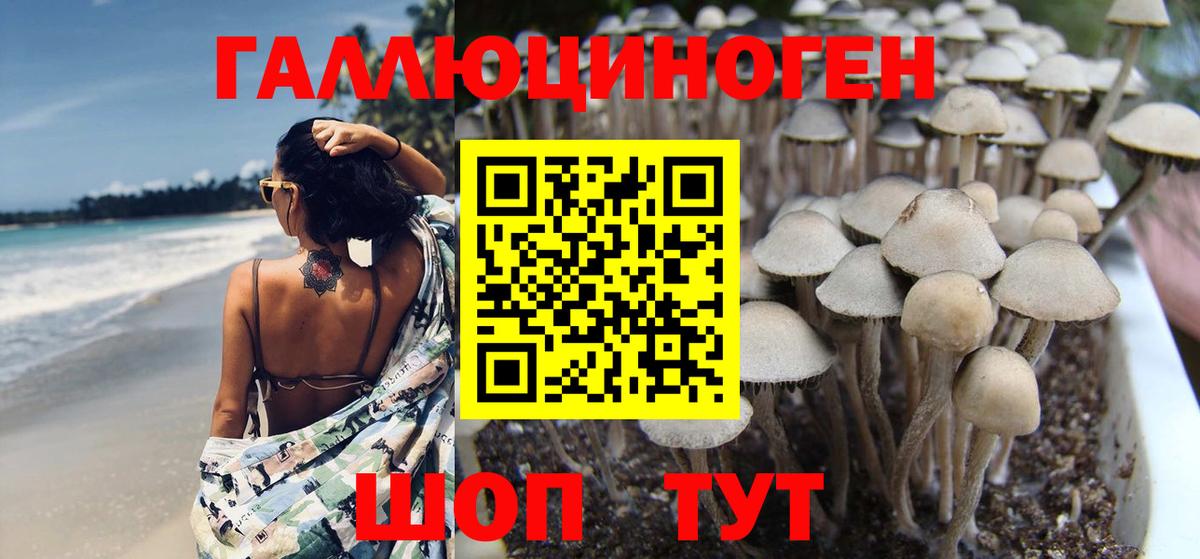 Галлюциногенные грибы Psilocybe  Вход с VPN  Новоуральск  Псилоцибиновые грибы MAGIC MUSHROOMS 