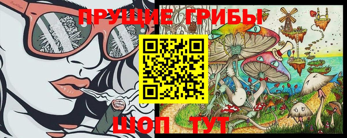 Псилоцибиновые грибы Cubensis Новоуральск